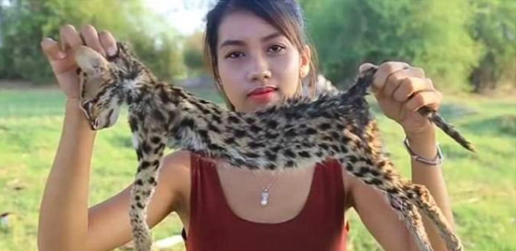 Cantik tapi Ganas, Youtuber Pemakan Kucing Langka Ditangkap