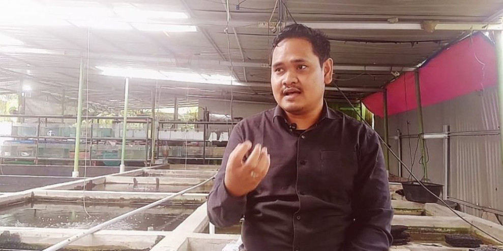 Simak Peluang Bisnis Ikan Hias di Pekanbaru