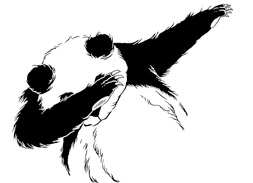 Inilah Fungsi dari Kedua Warna di Tubuh Panda