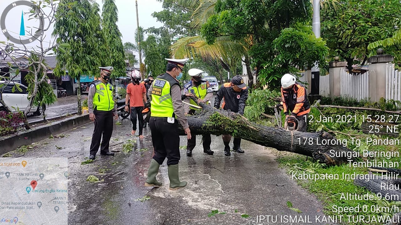 Polisi dan BPBD Bersihkan Pohon Tumbang di Jalan Baharuddin Yusuf Tembilahan