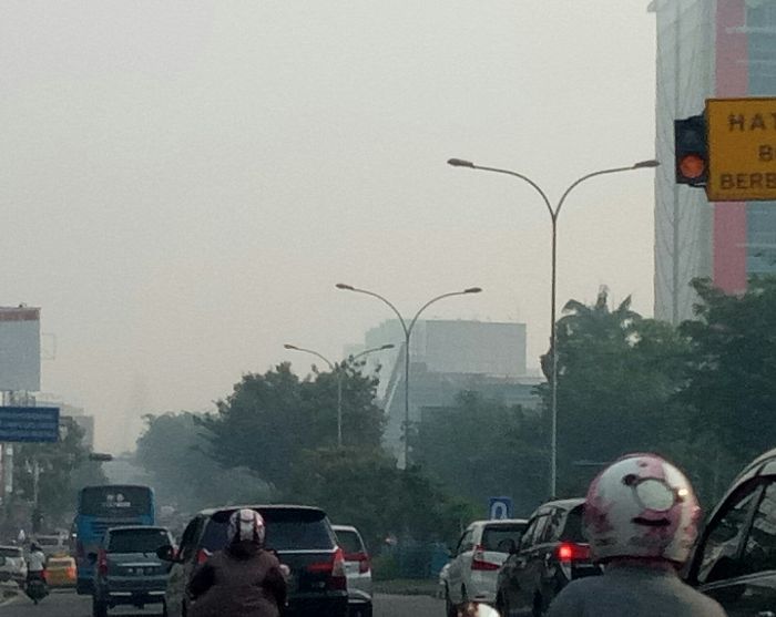 Gubri Ungkap Alasan Belum Liburkan Sekolah Saat Karhutla Melanda