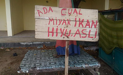 Kisah Nelayan Padang Puluhan Tahun Jadi Pemburu Hiu