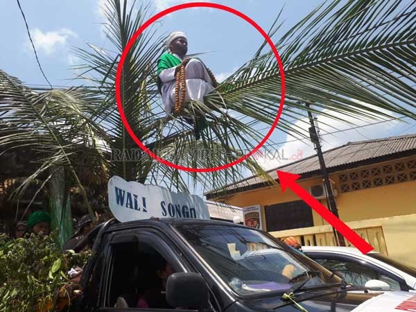 Orang Sakti Hebohkan Warga; Duduk Didahan Pohon dengan Santai