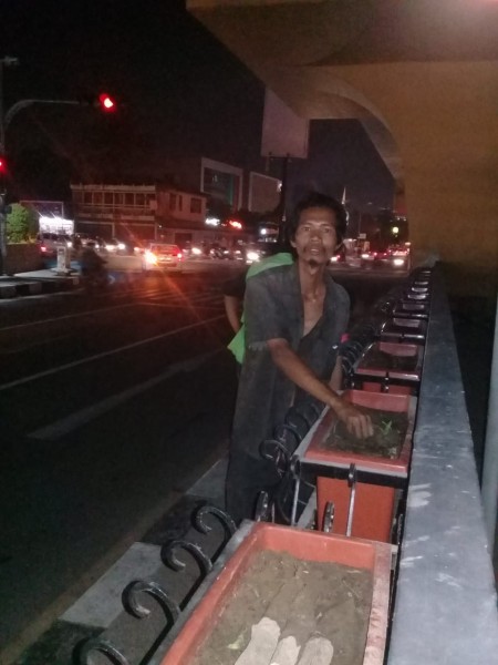 Pelaku Pengrusakan Tanaman Pot Bunga Fly Over Ternyata Orang Gila