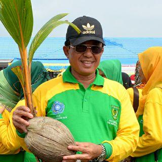 Inhil Akan Jadi Tuan Rumah Peringatan Hari Kelapa Dunia