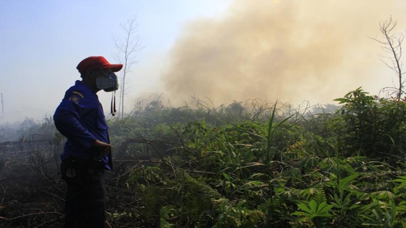 Wapada! 10 Hotspot Muncul di Riau