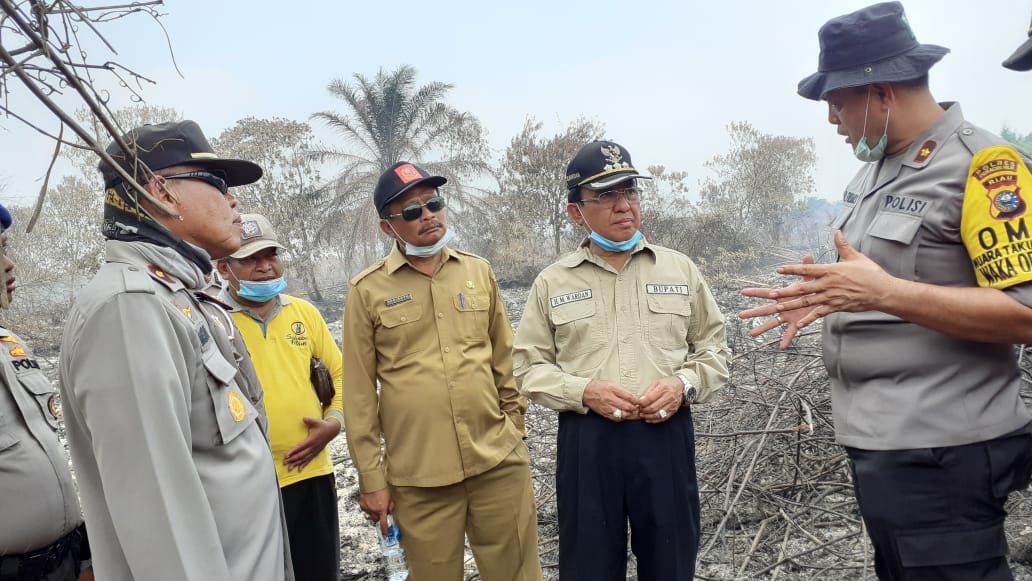 Intensitas Meningkat, Bupati Inhil Terjun Langsung Tinjau Lokasi Karhutla Di Kempas