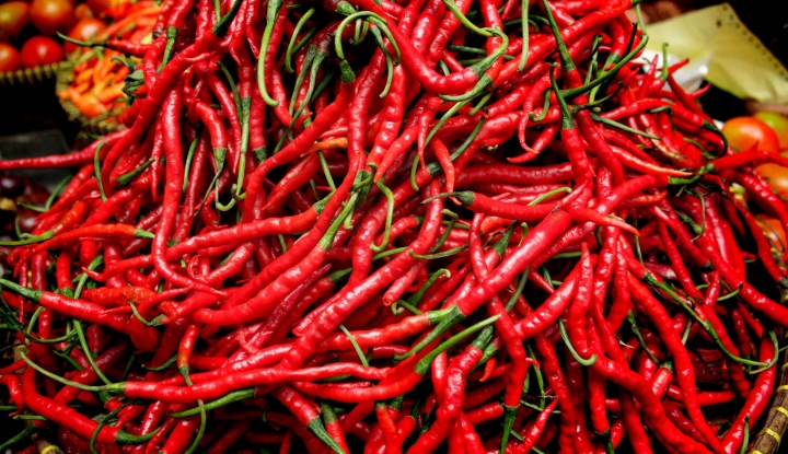 Harga Cabai Merah di Naik Hingga Rp40 Ribu per Kilogram