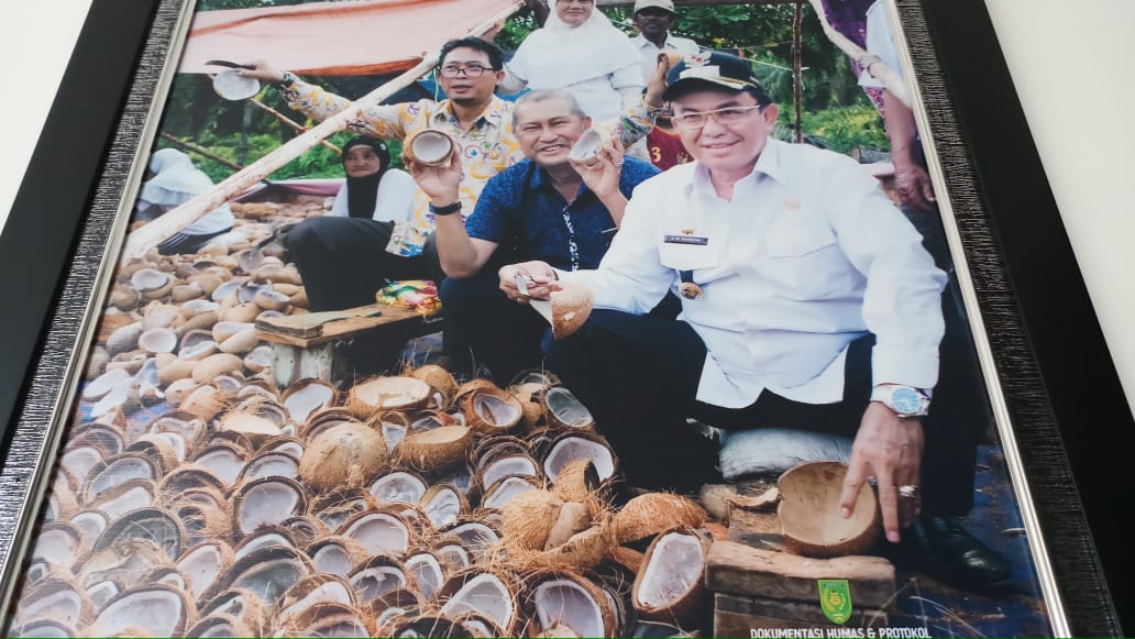 Program Perkelapaan Tak Kunjung Direalisasikan, Wardan Didesak Copot Kepala OPD Terkait