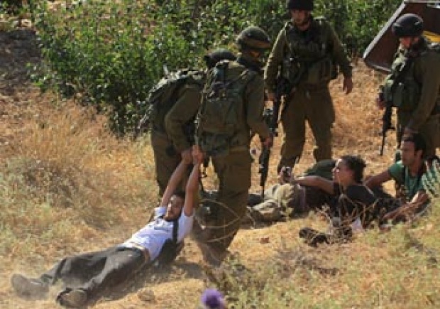 Warga Yahudi Israel Bakar Puluhan Pohon Zaitun Milik Palestina