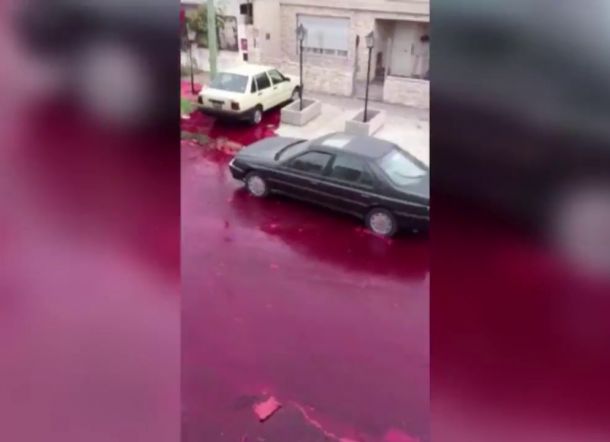 MELEDAK, Tangki Berisi 5.000 Liter Darah Sapi Bikin Jalan Jadi Mengerikan