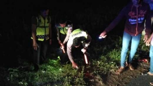 Gara-gara Berusaha Menyalip Mobil, Seorang Pemuda di Inhil Tewas Setelah Beradu Kambing