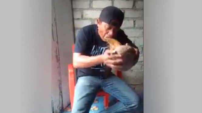 Aksi Pria ini Bikin Ngilu, Kupas Kelapa dengan Gigi