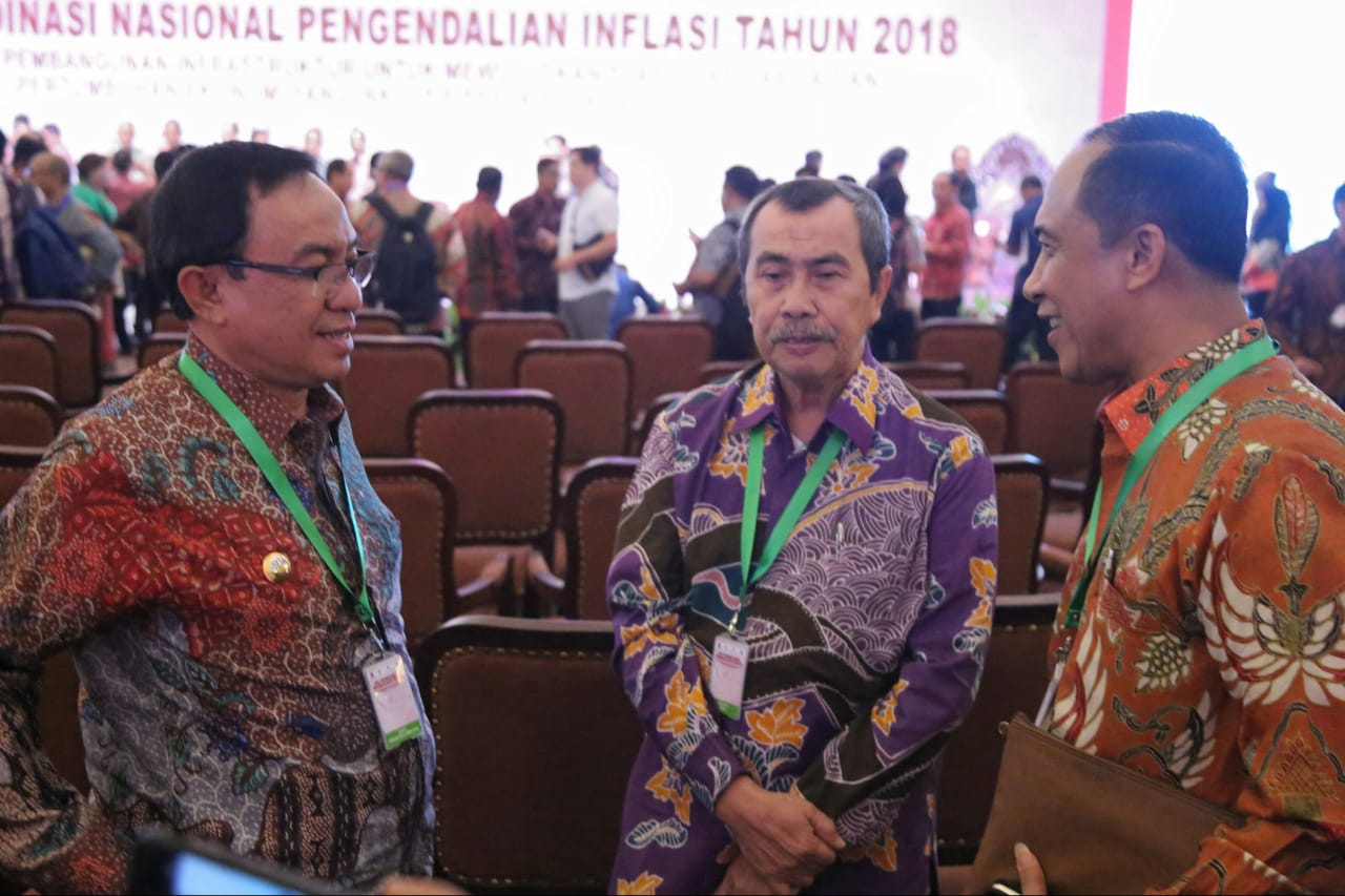 Bupati Inhil Hadiri Rakornas TPID Ke - 7