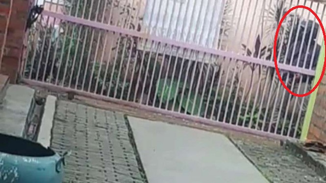 Video Pria Masturbasi di Depan Indekos Putri Viral