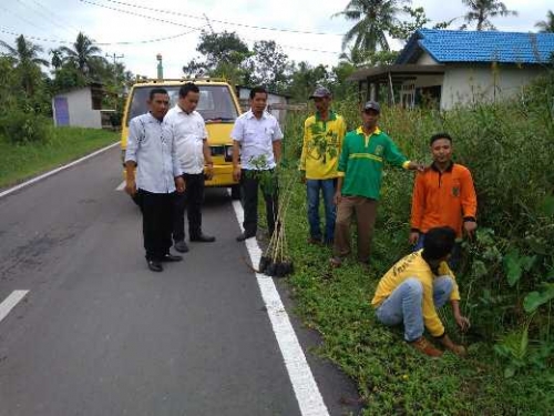 Buat Inhil Jadi Asri dan Indah, Dinas Perkim Tanam 10 Ribu Pohon