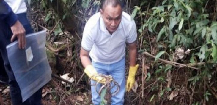 Penemuan Tengkorak Manusia, Warga Langkat Geger
