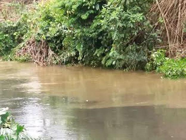 Warga Inhil Keluhkan Air Sungai Tercemar, Diduga Ulah Perusahaan
