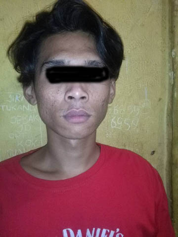 Seorang Buronan Pencuri Kerbau di Tambusai Ditangkap Saat Pulang Kampung