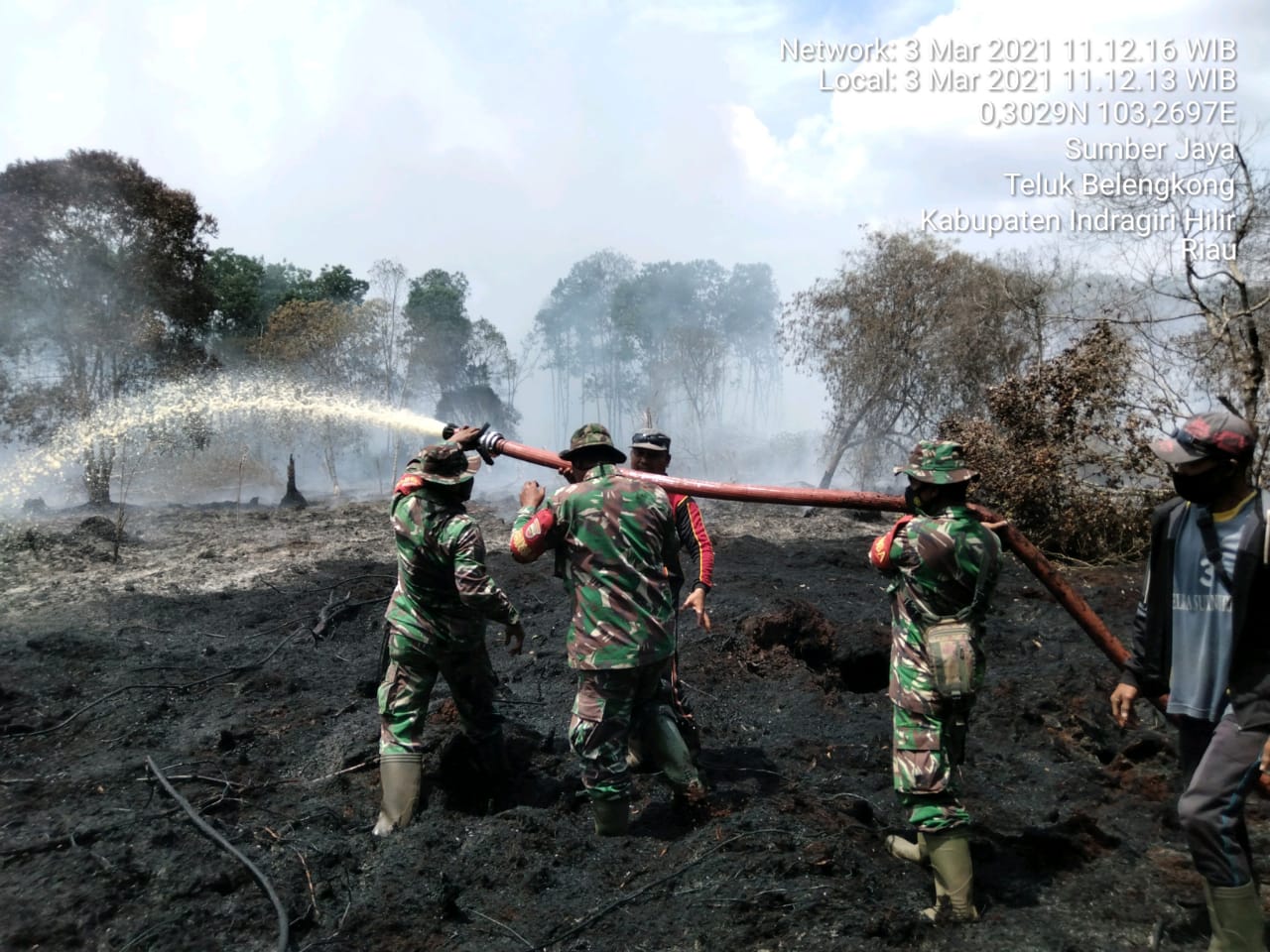 5 Hektar Lahan di Desa Sumber Jaya Terbakar, Babinsa dan Personil Koramil 06 Kateman Bersama Tim Tim Sedang Lakukan Pemadaman
