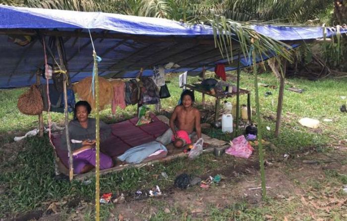 Suku Kubu dari Pedalaman Jambi Berkeliaran di Air Molek