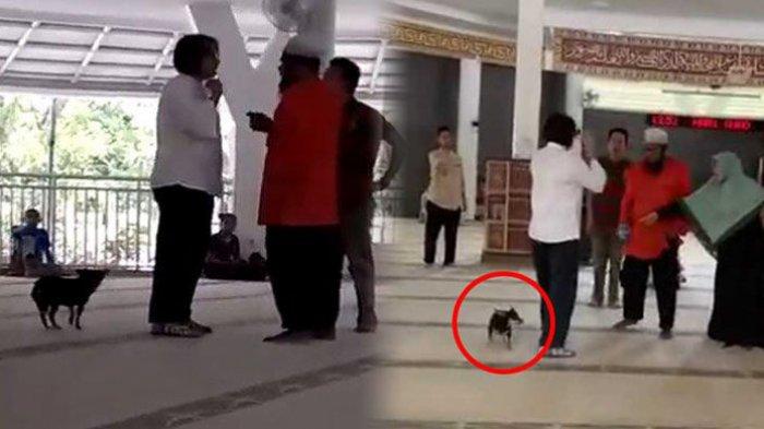 Cari Sang Suami, Alasan Wanita Bawa Anjing ke Dalam Masjid
