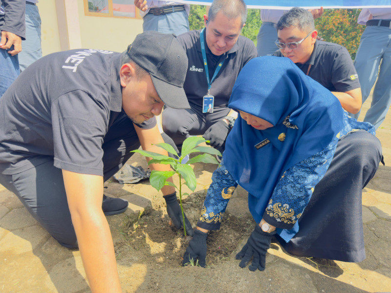 Hardiknas 2024, PLN Icon Plus  Tanam 1.000 Pohon Penghijauan