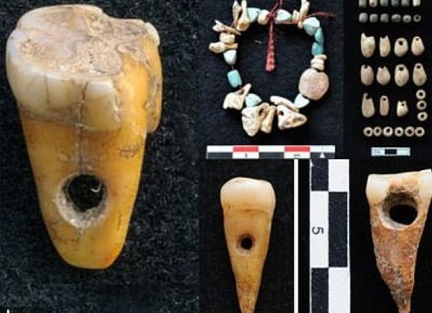 Arkeolog Temukan Perhiasan yang Terbuat dari Gigi Manusia
