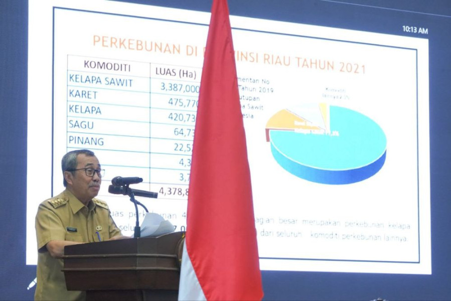 Atasi Persoalan Sawit di Riau, Gubri Syamsuar Dukung Program Jaga Zapin