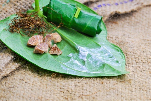Berbahaya, Kebiasaan Menyirih Ternyata Picu Kanker Mulut