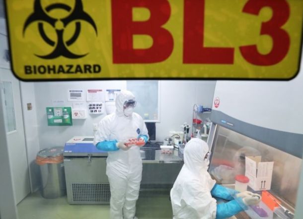 Virus Misterius di China Makan Korban Tewas, 7 Orang Kritis