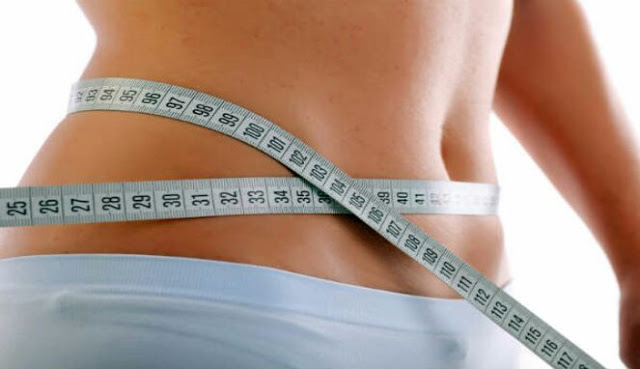 Fakta Diet Ular, yang Katanya Bisa Turunkan Berat Badan Cepat
