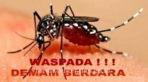 Masyarakat Diminta Waspada, DBD di Riau Tembus 1.537 Kasus
