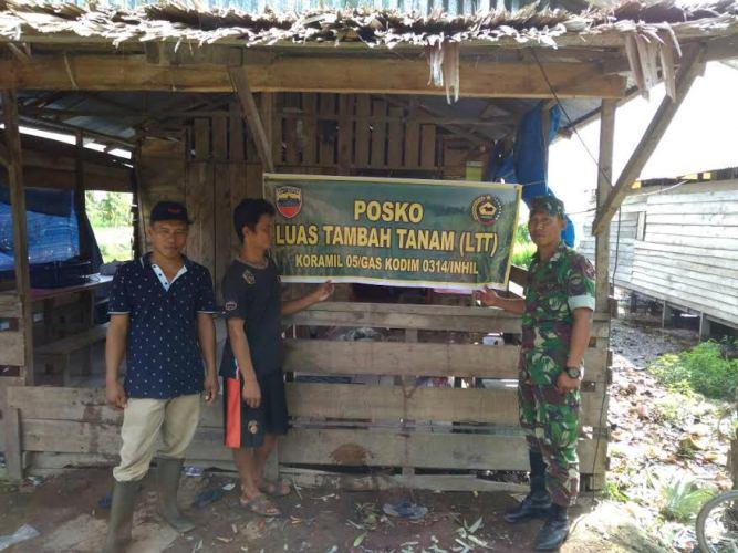 Desa Kuala Sebatu Sedang Berusaha Untuk Kembalikan Kejayaan Padinya
