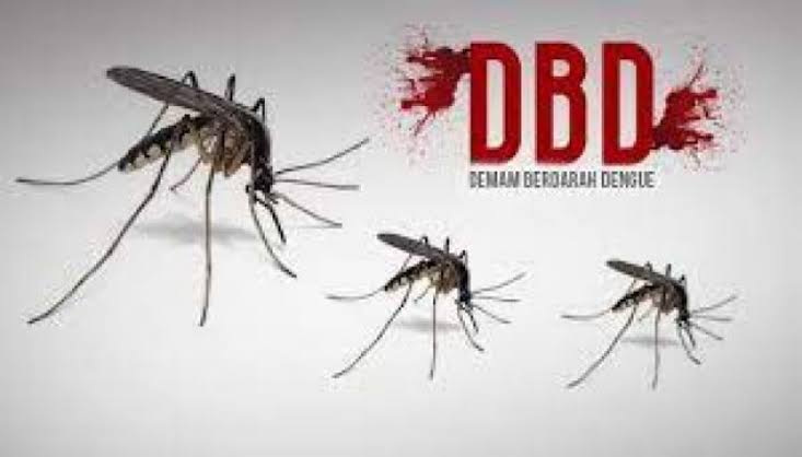 Dinkes Inhil Himbau Puskesmas Lakukan Sosialisasi Pencegahaan DBD