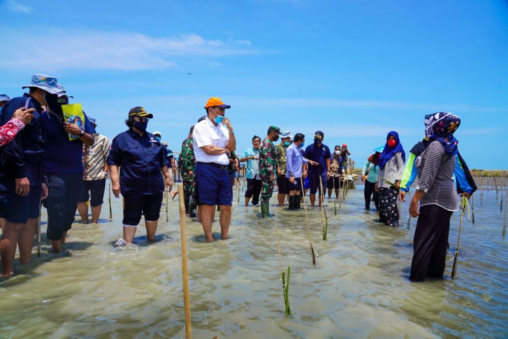 Rehabilitasi Mangrove Libatkan Kelompok Tani Kawasan Pesisir