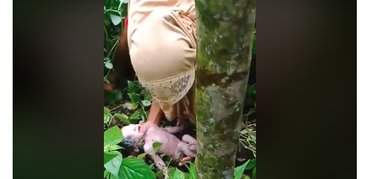 Bayi Ini Dibuang di Kebun, Video Saat Penemuannya Bikin Nangis