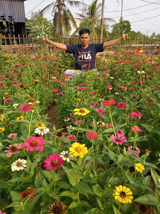 Indahnya Taman Bunga PLTD Kuala Enok