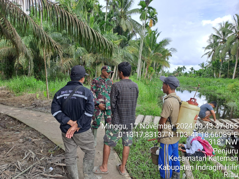 Babinsa Patroli Karhutla Bersama Masyarakat Penjuru