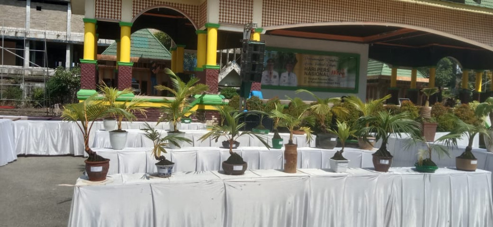 Kontes Bonsai Kelapa Sempena HPN Tingkat Provinsi Riau 2023 Dimulai