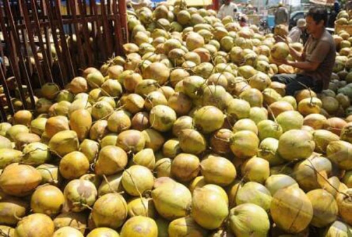 Untuk SRG, Dinas Perdagangan Inhil Persiapkan Pembentukan BUMD