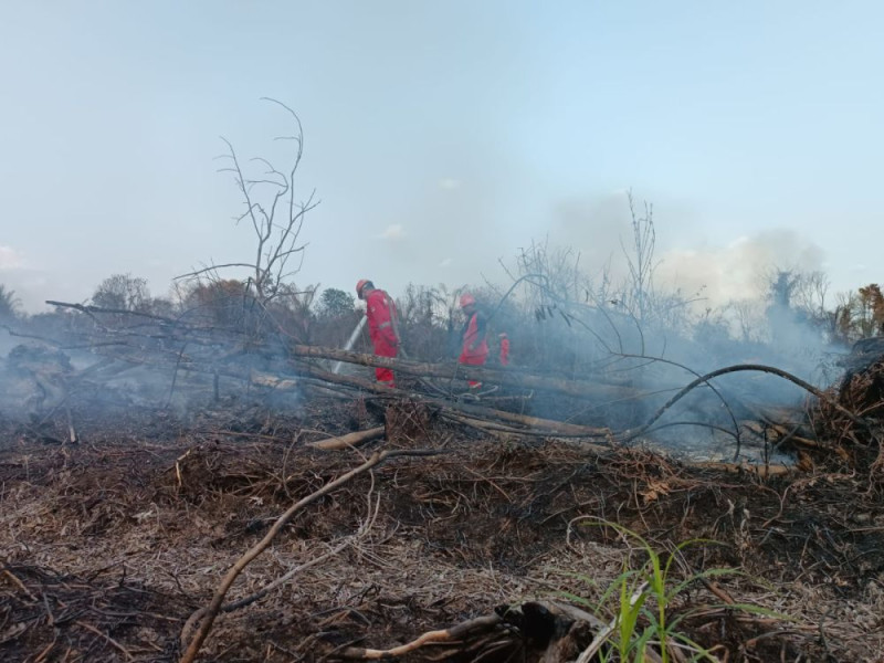 Tiga Daerah di Riau Tetapkan Siaga Darurat Karhutla