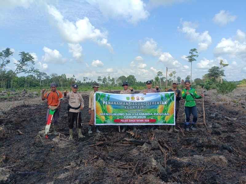 Polsek Sungai Batang Nandur Jagung Bersama Kelompok Tani Dukung Swasembada Pangan 2026