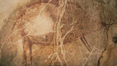Lukisan Kuno dari 40 Ribu Tahun Lalu Ditemukan di Gua Kalimantan