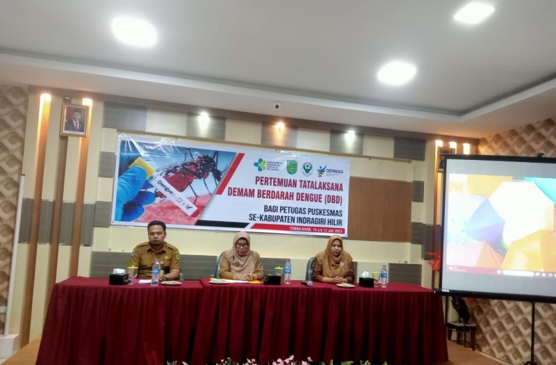 Dinkes Laksanakan Pertemuan Tatalaksana DBD Bagi Petugas Puskesmas Se-Kabupaten Inhil