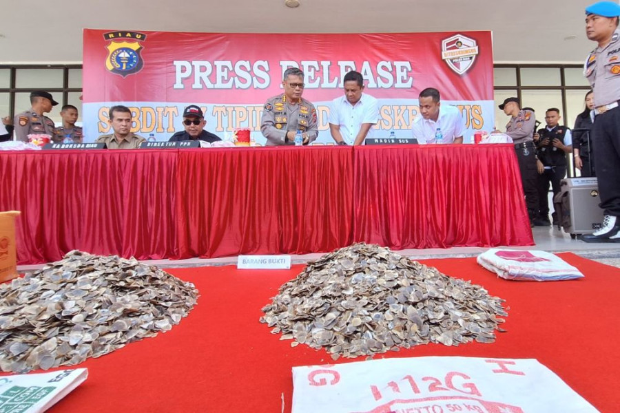 Polda dan BKSDA Riau Tangkap Penjual Kulit Tenggiling