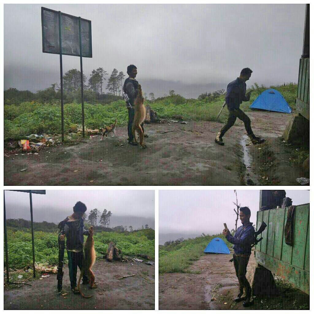 KEJAM... Pria Ini Berpose dengan Monyet Buruannya di Gunung Marapi