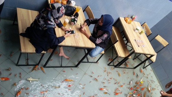 Usung Konsep Makan Sambil Terapi Ikan Koi, Omzet Rujak House Capai Rp4 Juta Per Hari