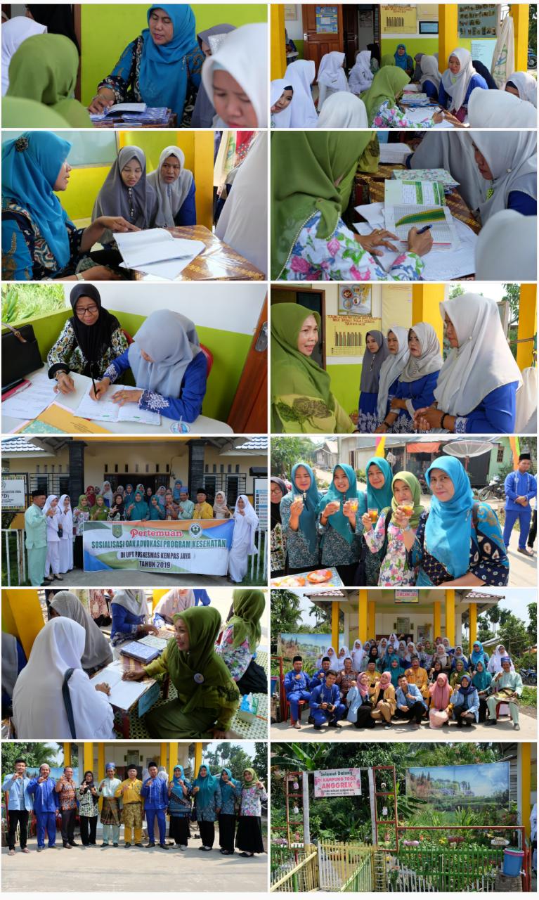 Dinkes Inhil Lakukan Penilaian Posyandu Gemilang Jaya di Desa Pulau Indah