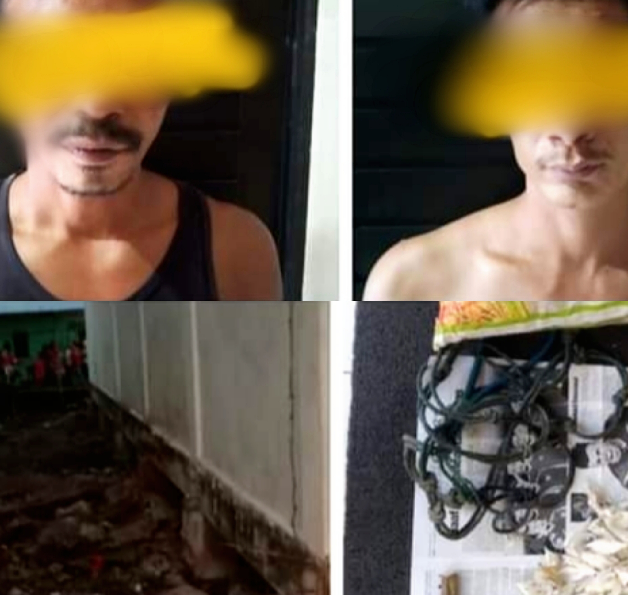 Tanpa Perlawanan, Pencuri Sarang Burung Walet di Pulau Burung Berhasil di Bekuk